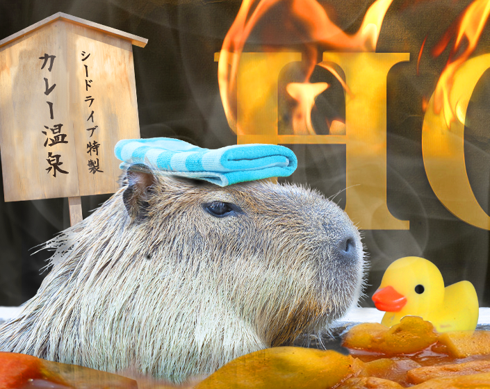 デフォルト画像