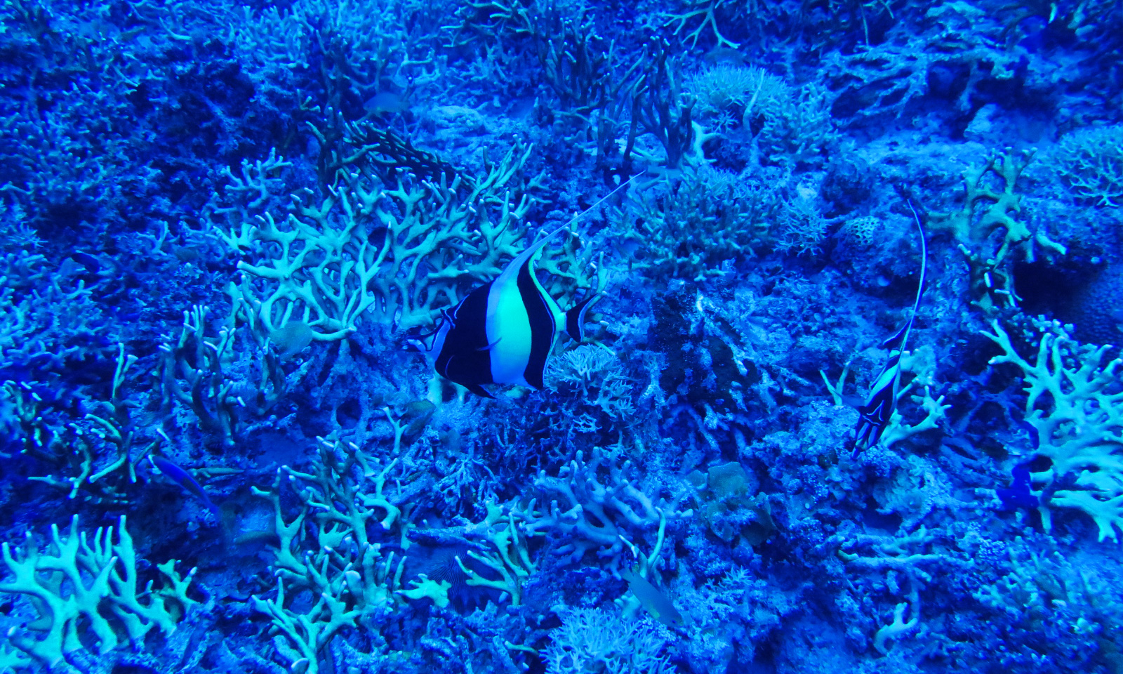 海の写真